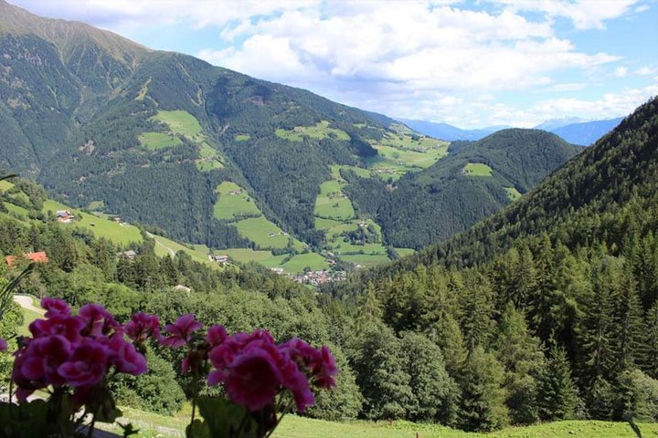 Ausblick vom Ferienhaus "Oberwalder"